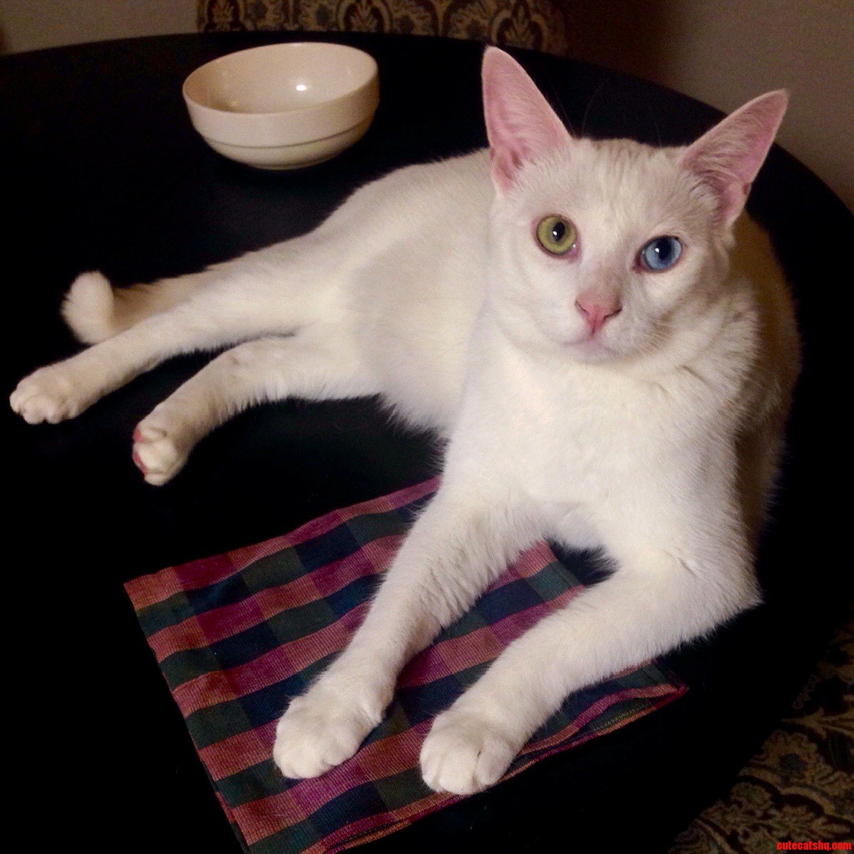 I Ll Help You Fold the Napkins