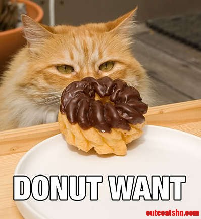I Need Dis