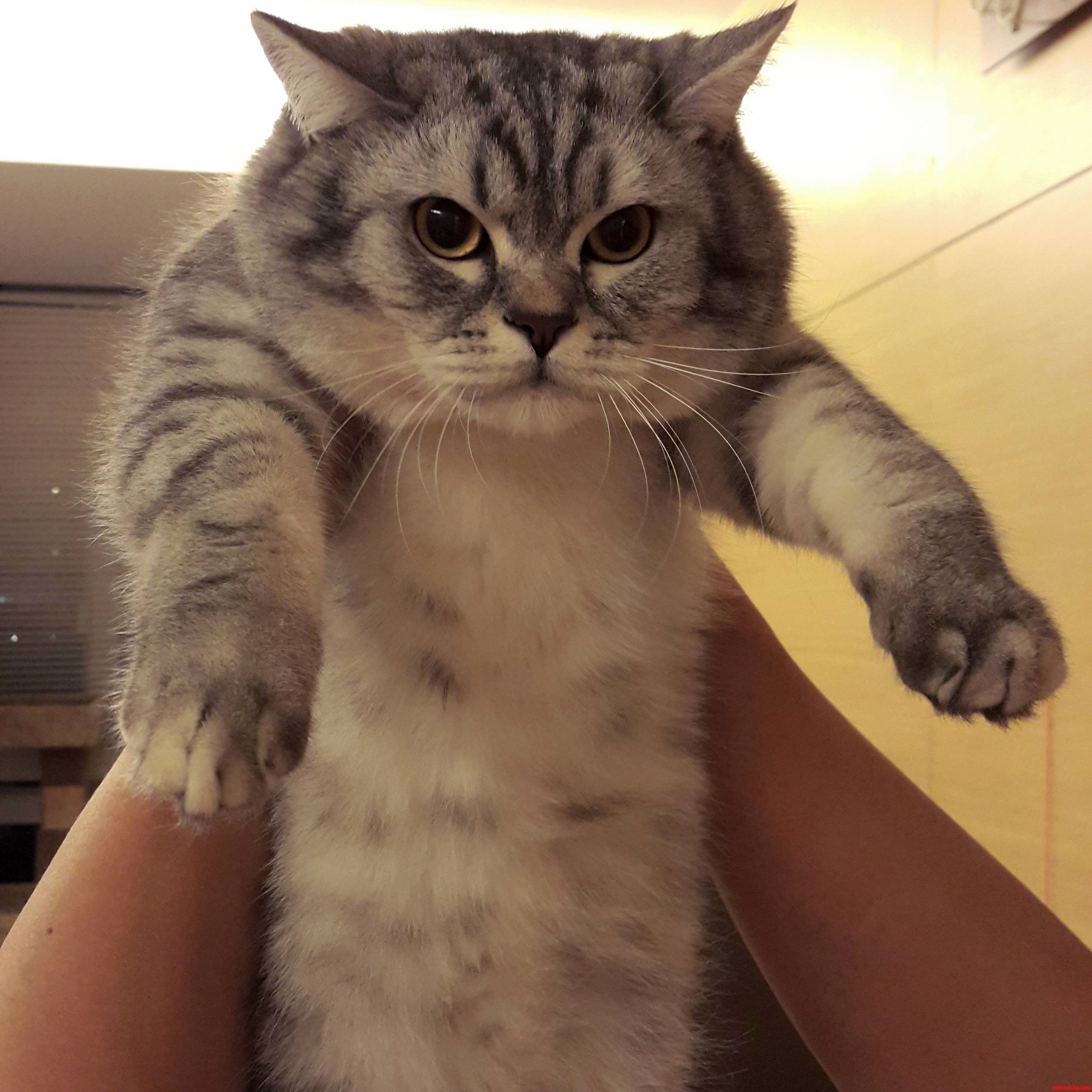 Im Going to Kill You While You Sleep..