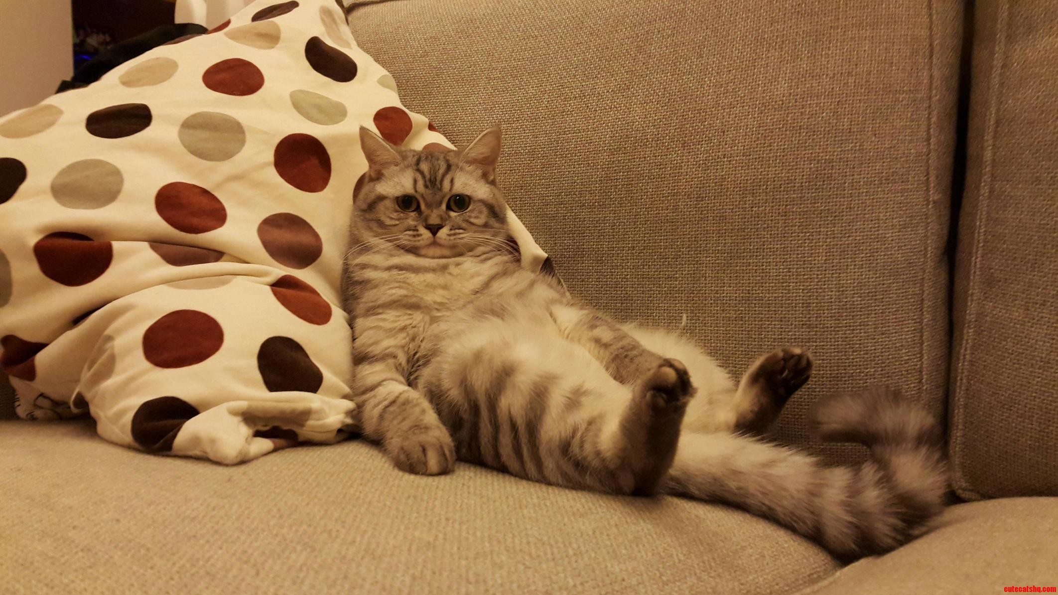 Is It Monday Already..