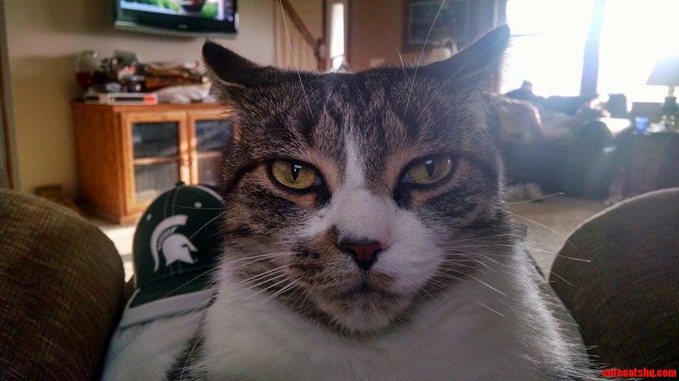 It Had Been a Few Months Since I Had Visited My Parents . I Think He Was Mad I Left Him.