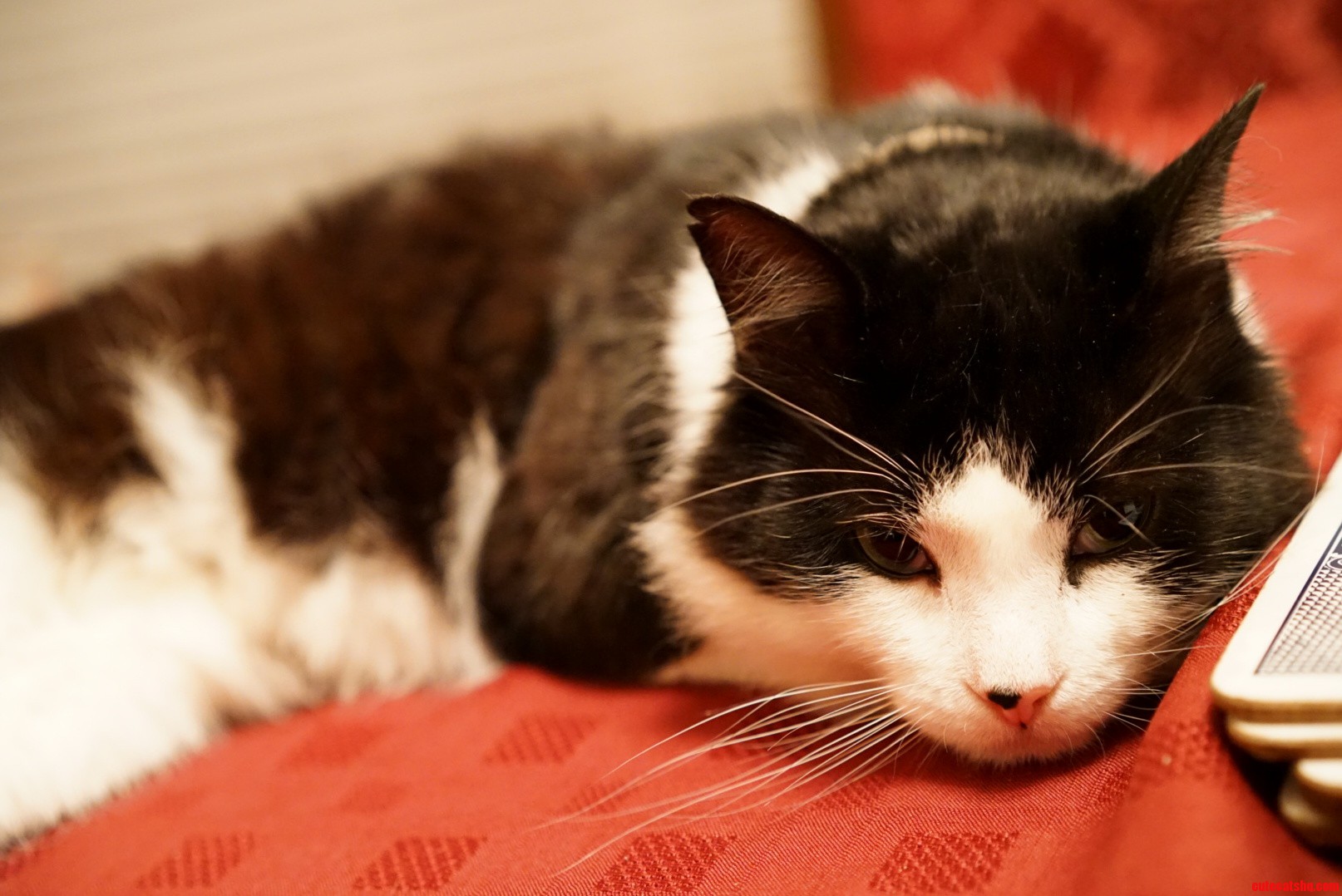 Its Been a Looong Day.