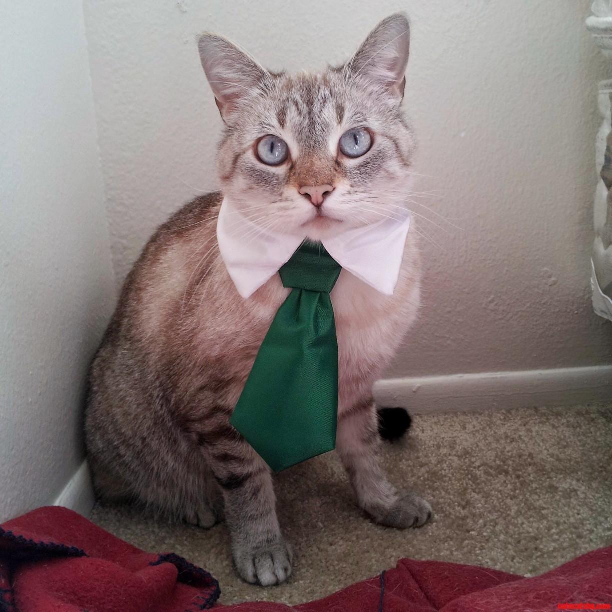 Jerome Is Interview Ready.