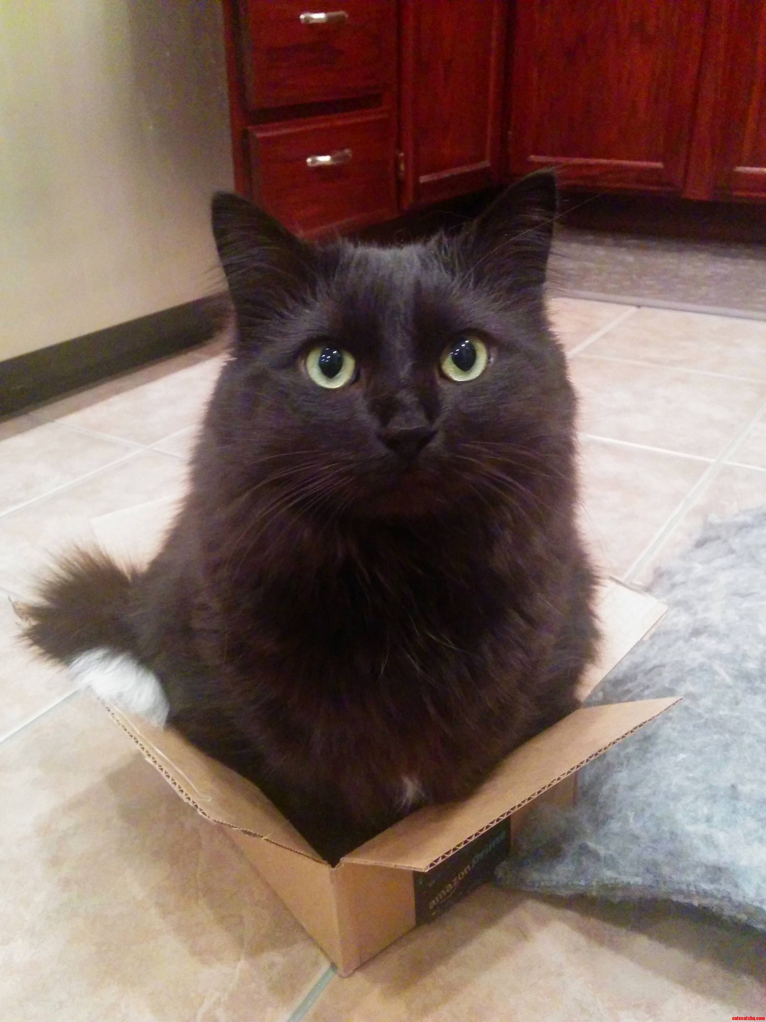 Just a Peanut in a Box.