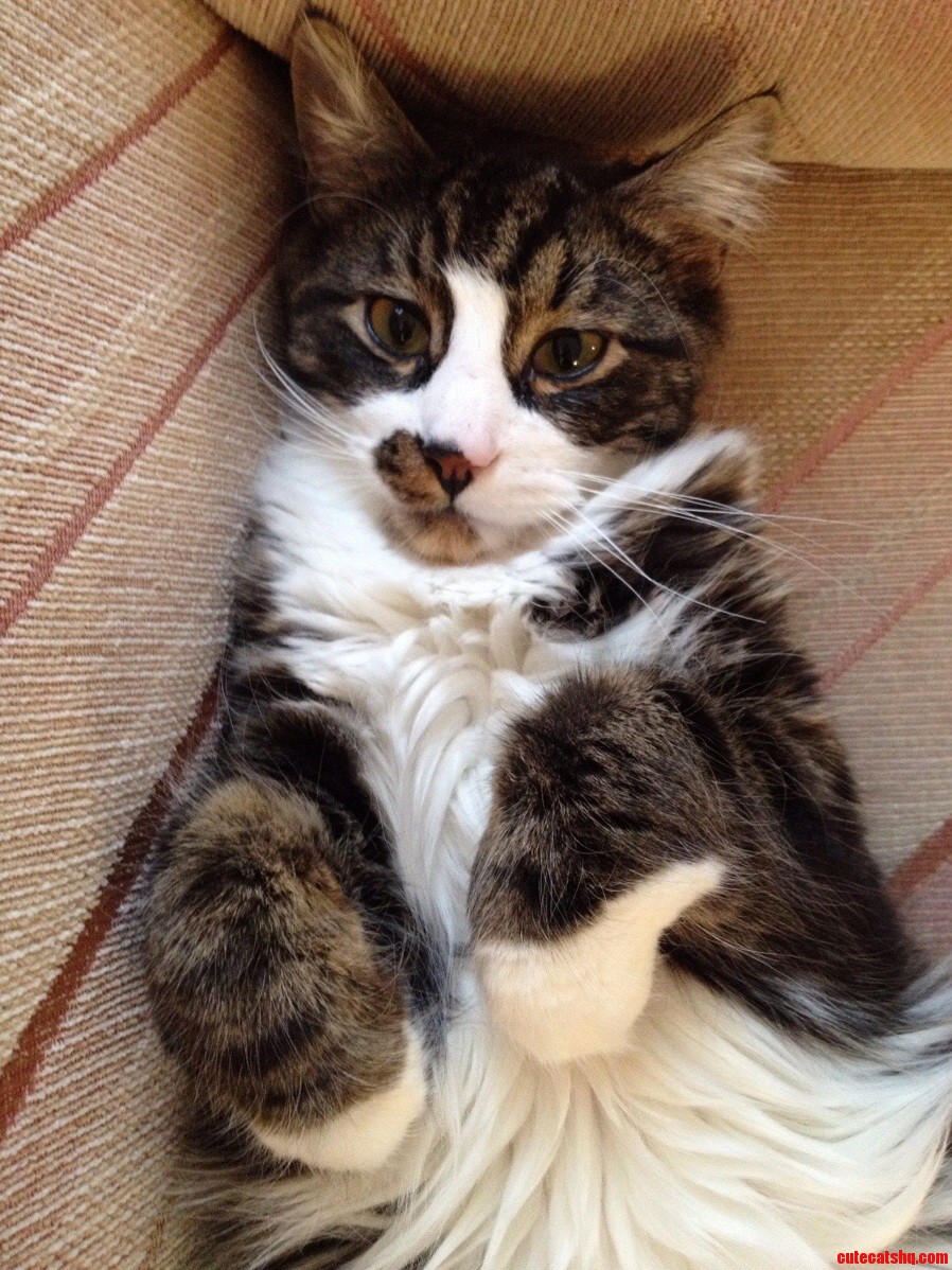 Just Chillin
