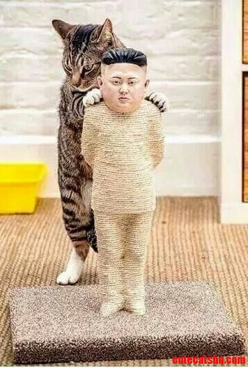 Kim Jong Un Scratchpost