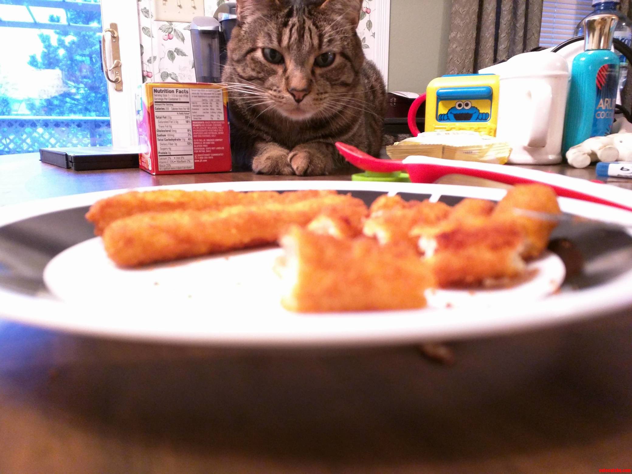 Kitty Wants Babys Chicken Fingers