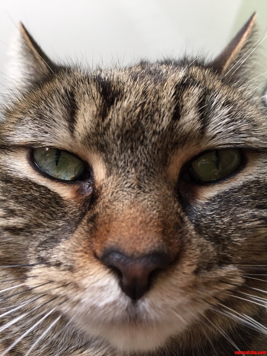 Look at This Face.