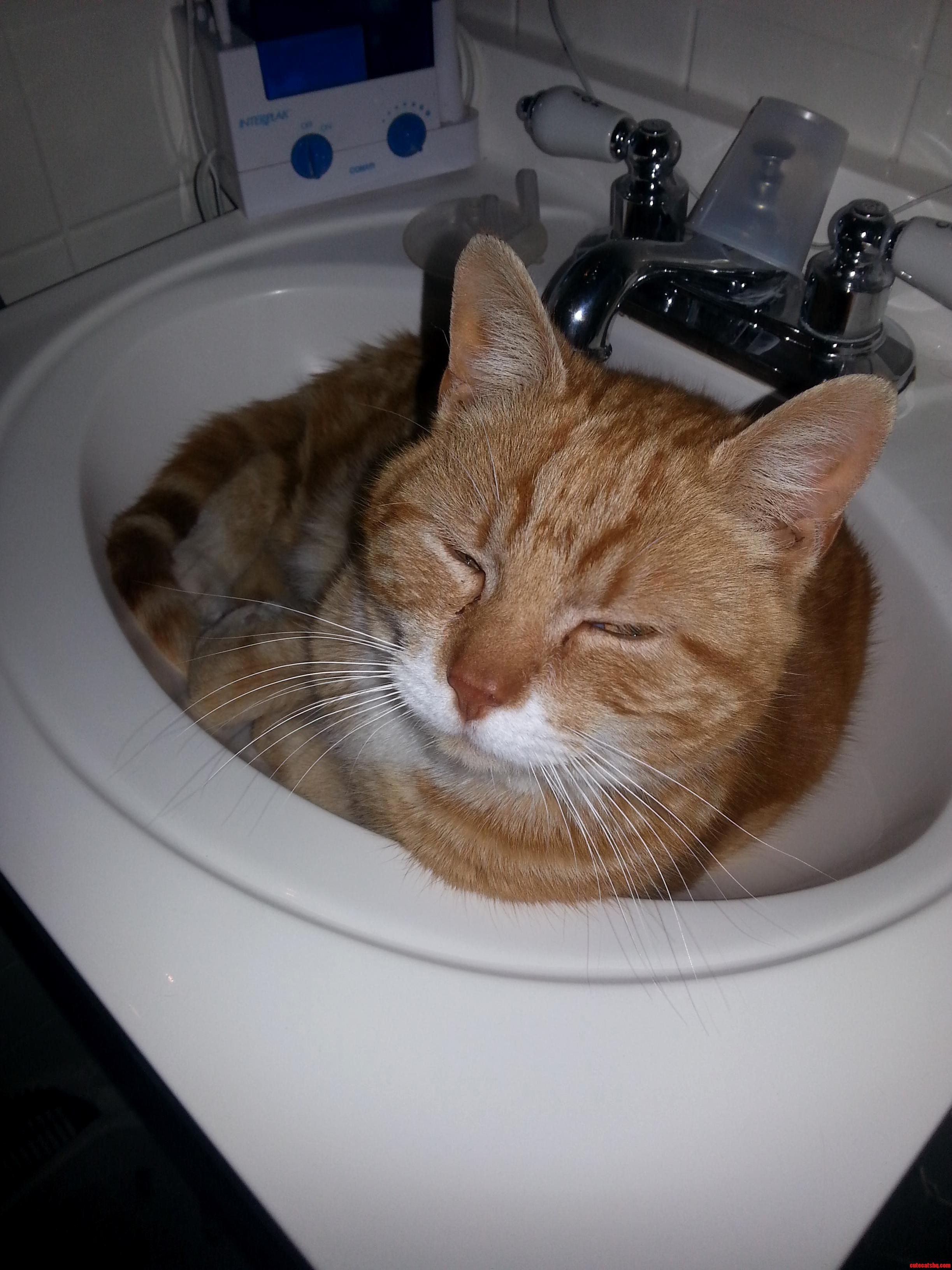 Look at This Little Stinker.