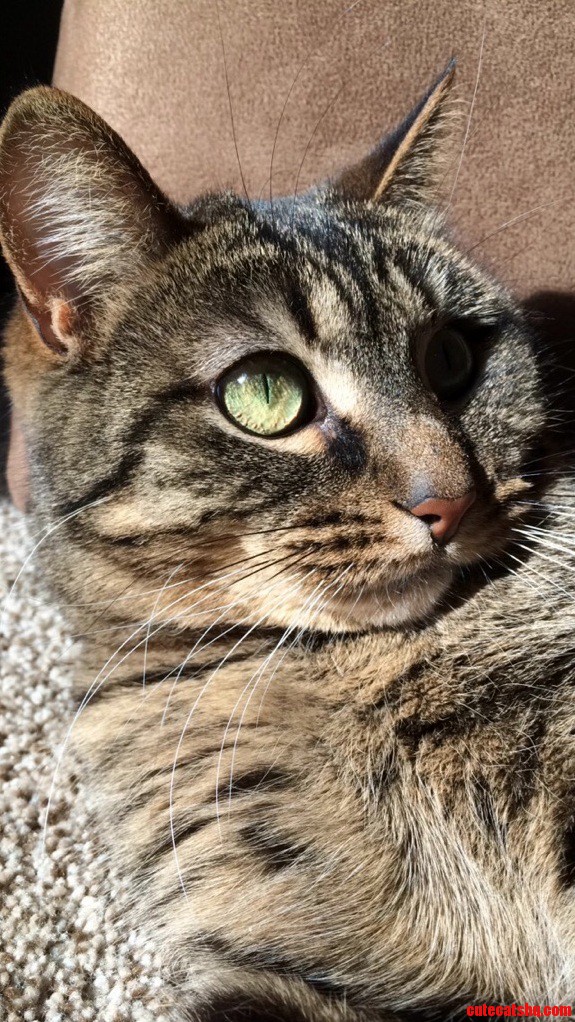 Looking Into the Sun