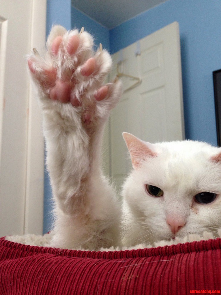 Louis Wants a High Five