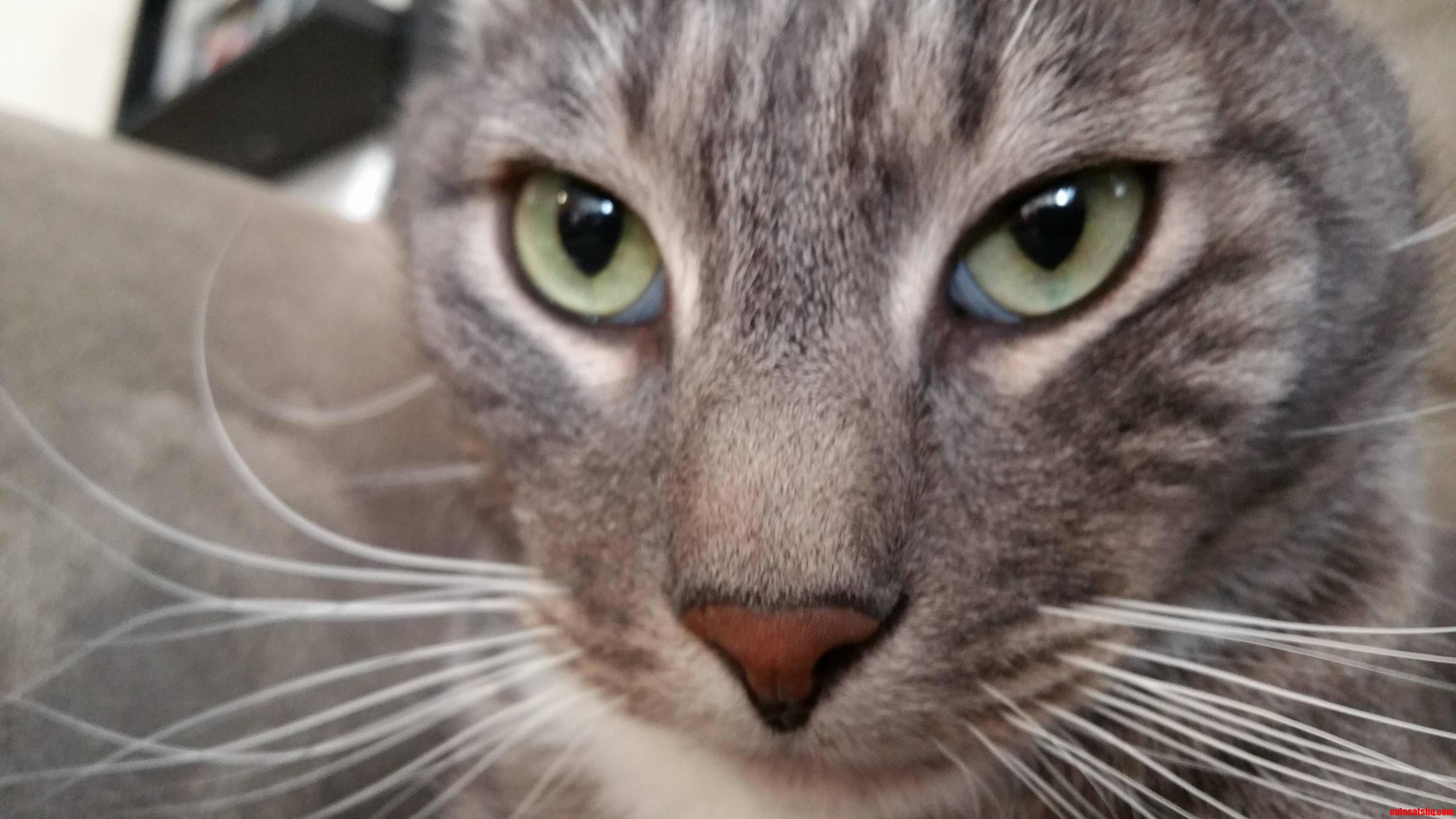 Meet Tom