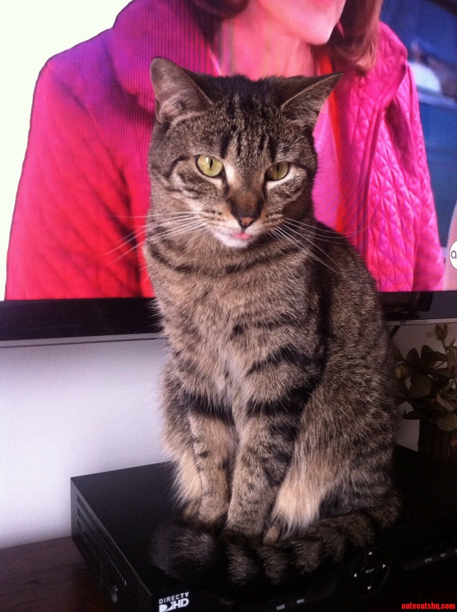 Mia You Forgot to Put Your Tongue Back in Your Mouth..
