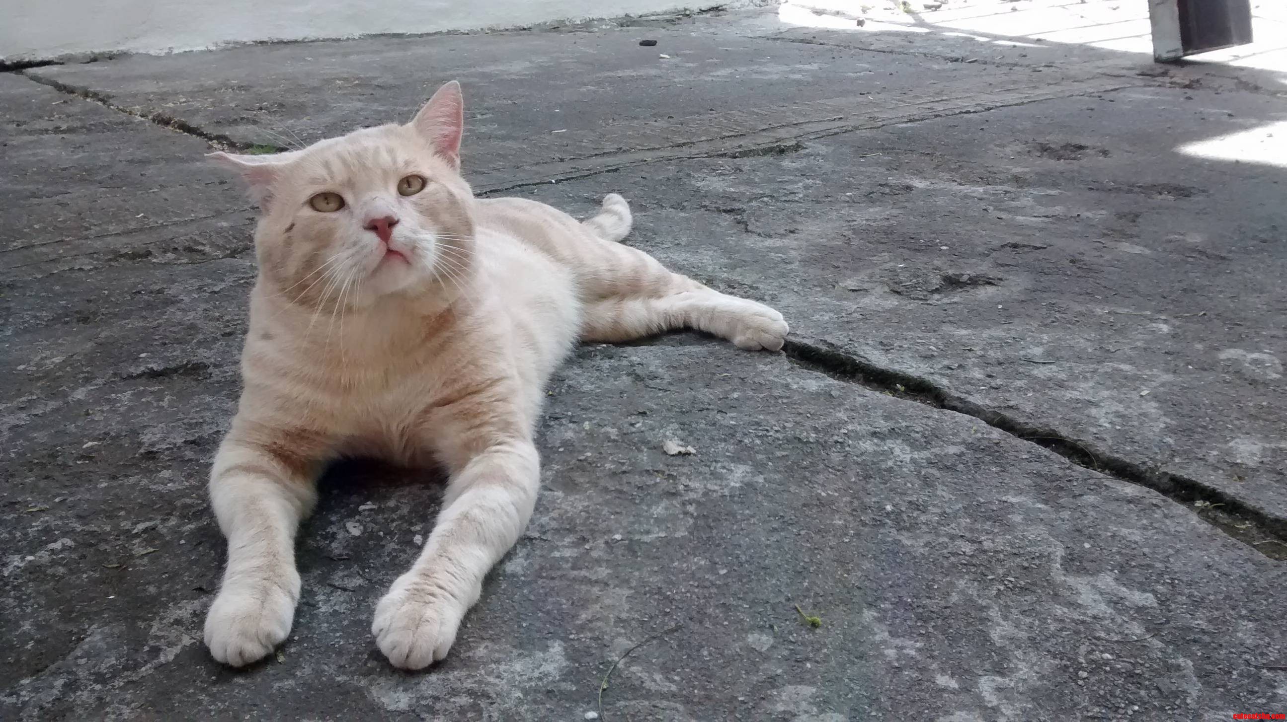 Mitch Is Waiting for His Love.
