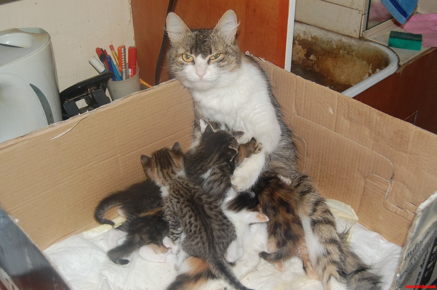 Mother