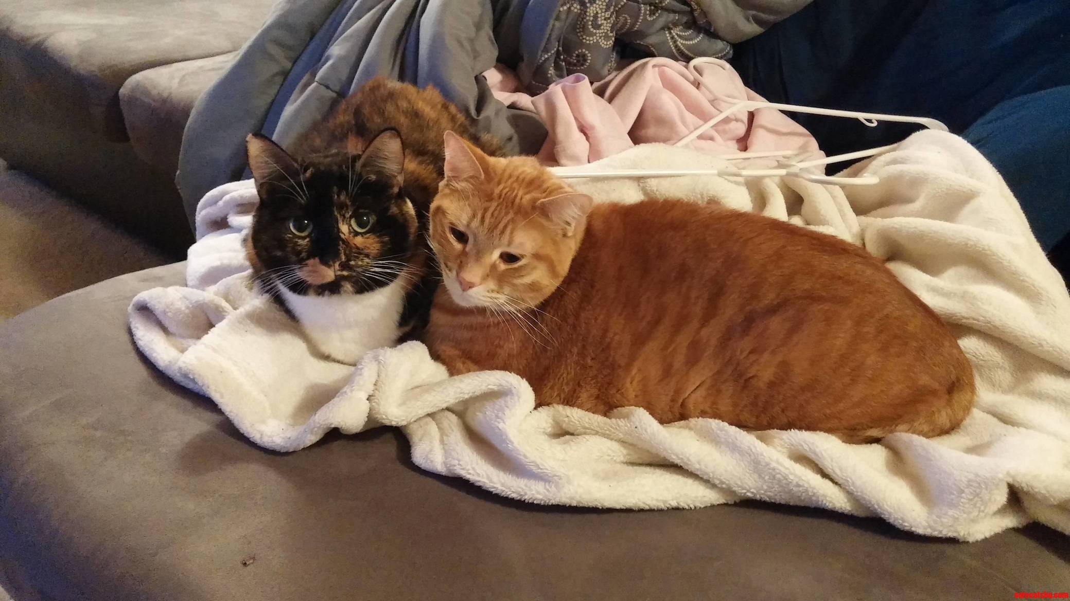 My Bondles of Joy