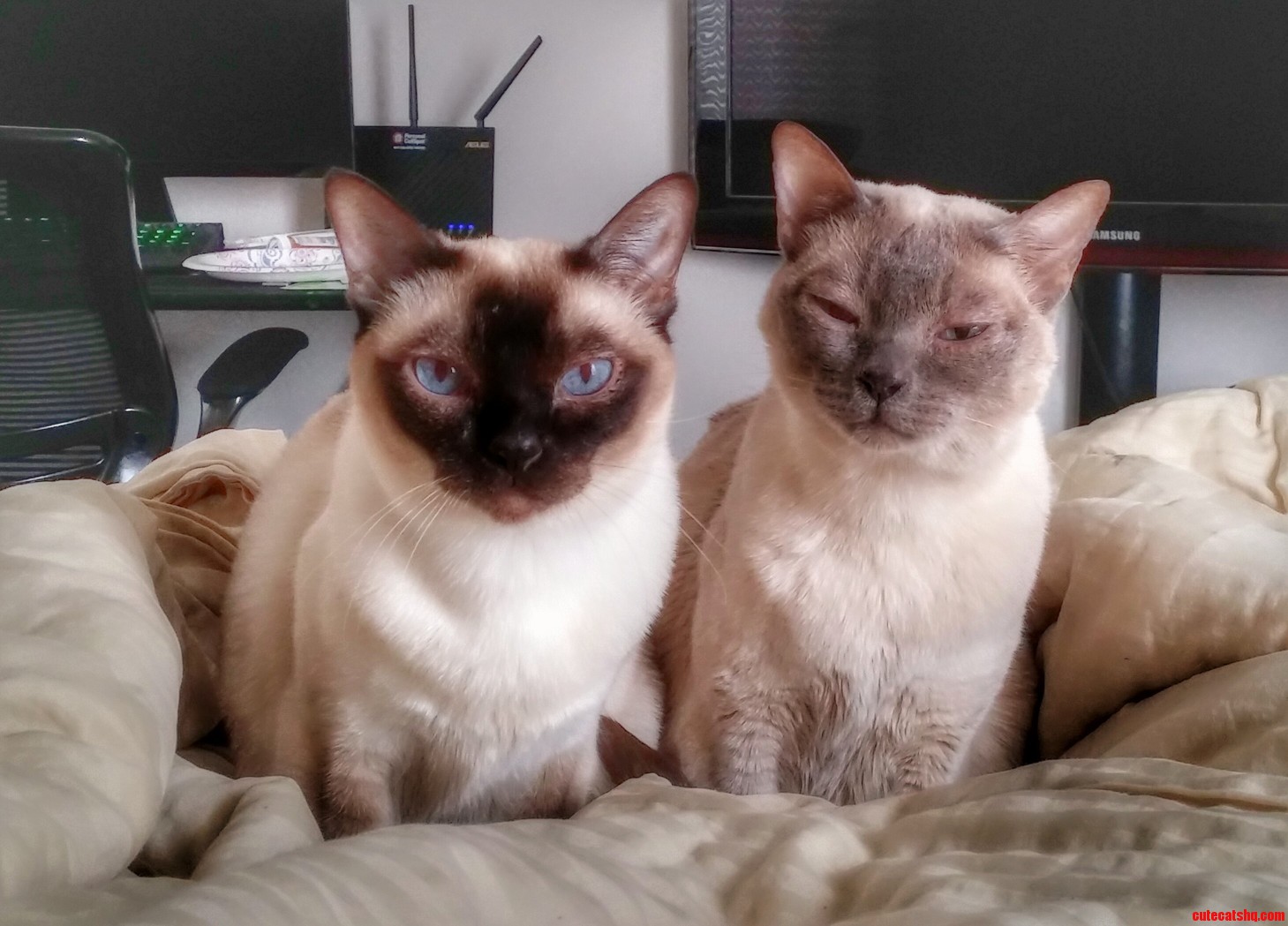My Girls on a Typical Sunday Afternoon