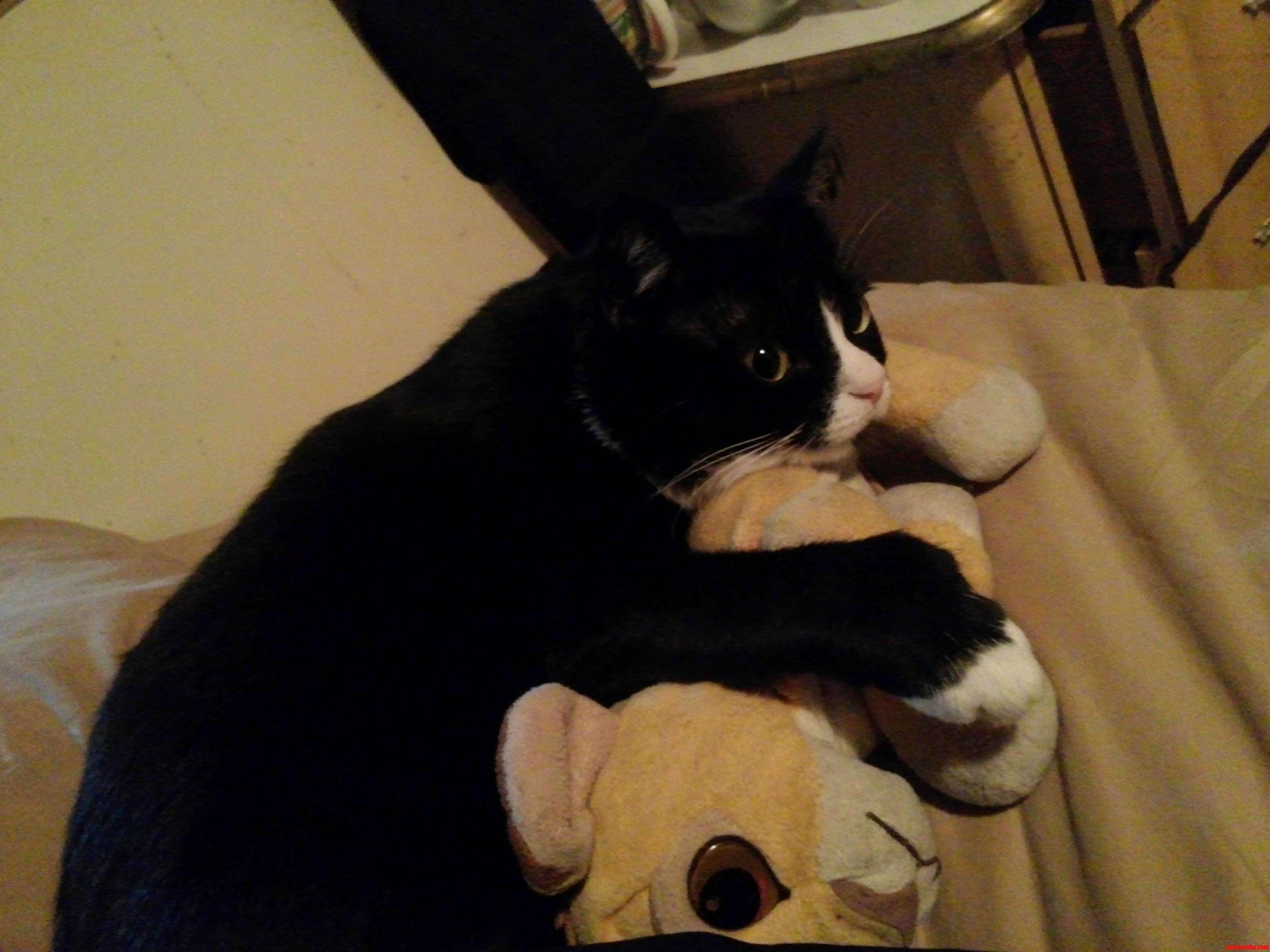 My Simba