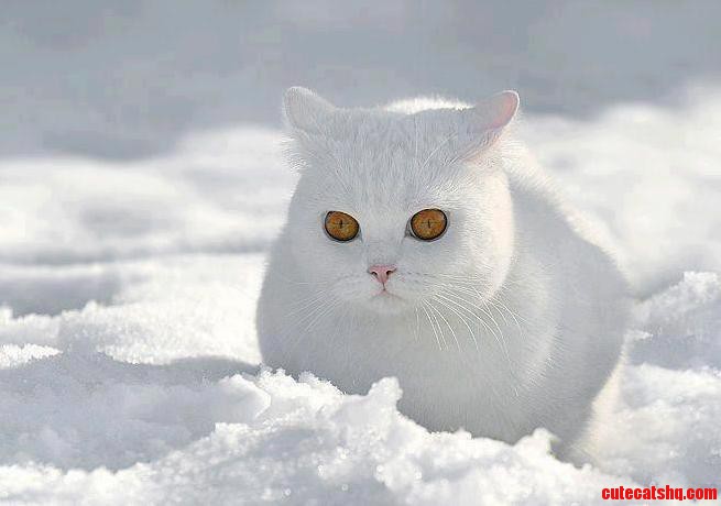 No One Will Ever See Me...muhaha