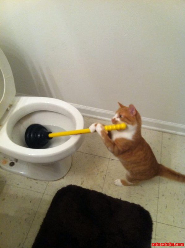 Nobody in This House Helps Me