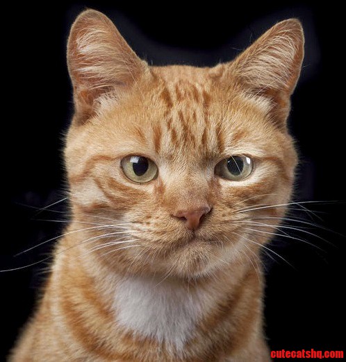 Now Thats an Expression.
