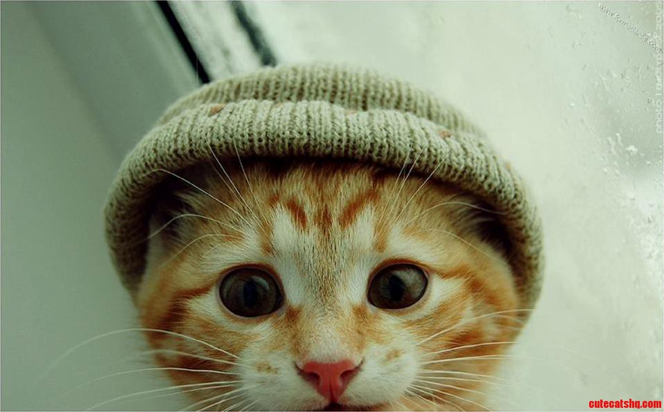 Ok Now I Am Ready to Go Outside