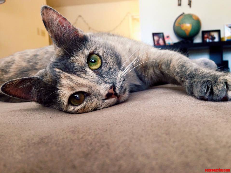 One of Wednesdays Rare Photogenic Moments.