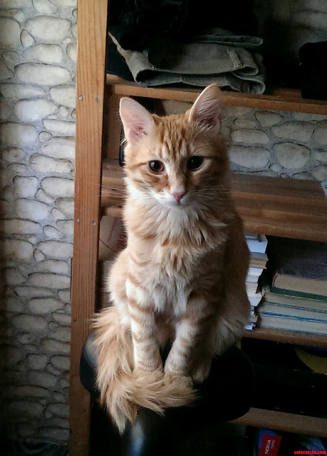 Otto Sports a Beautiful Winter Coat