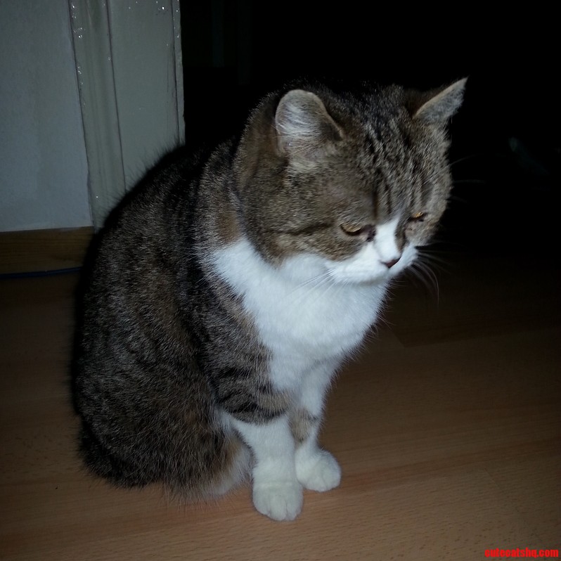 Our Lola 10 Is Suffering from Weltschmerz.