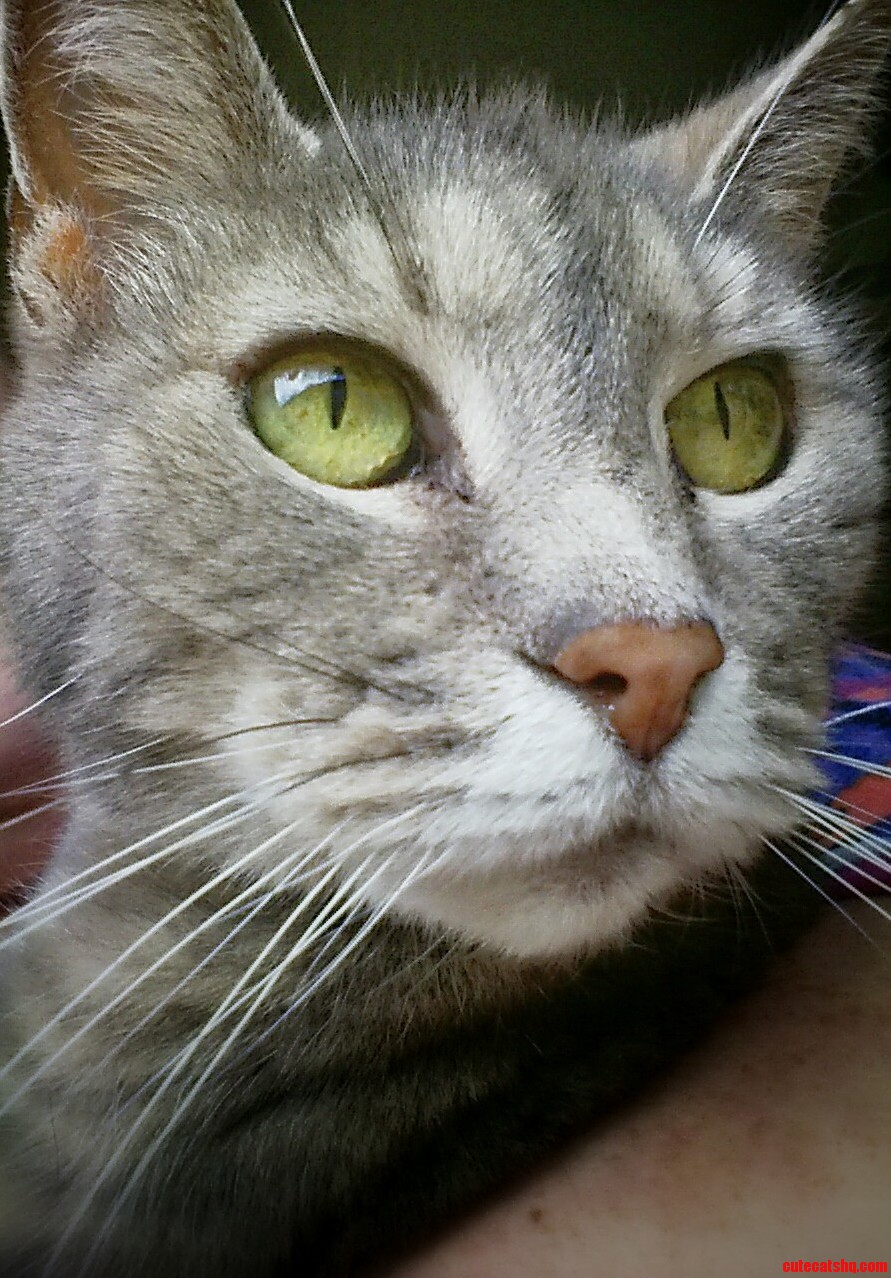 Princess Is 16 Today