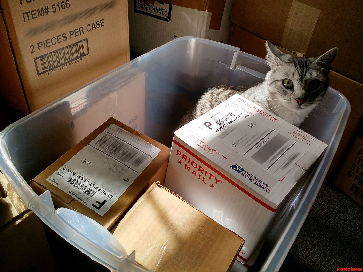 Ready to Go the Post Office.