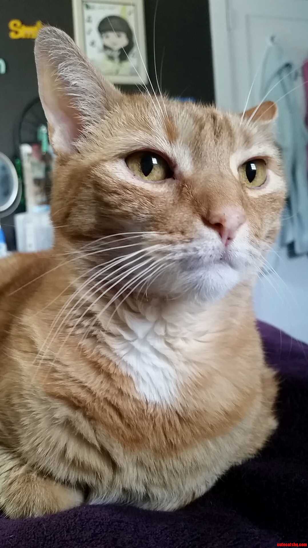Rest in Peace My Beautiful Angel