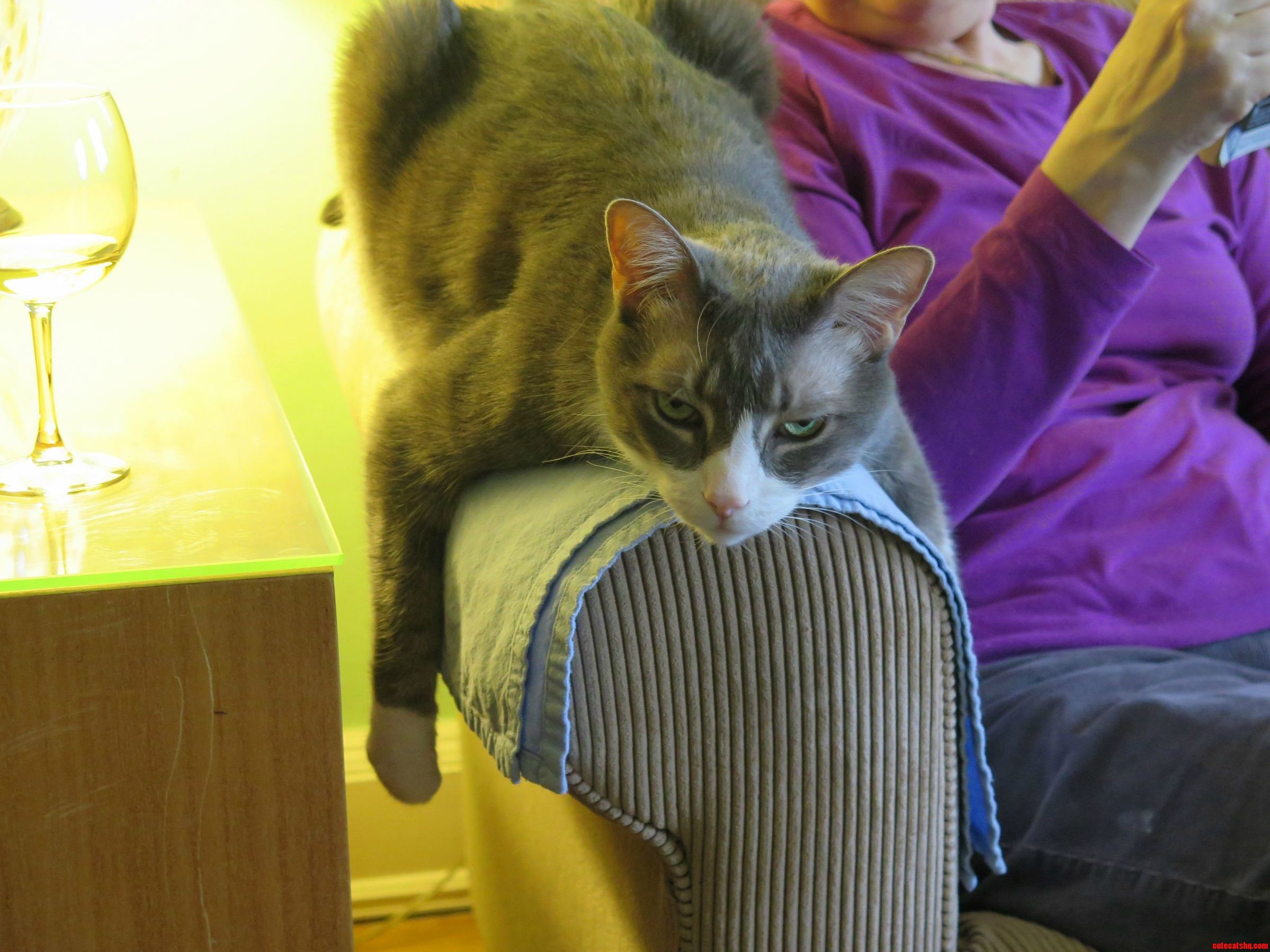 Rudy Couch Surfing