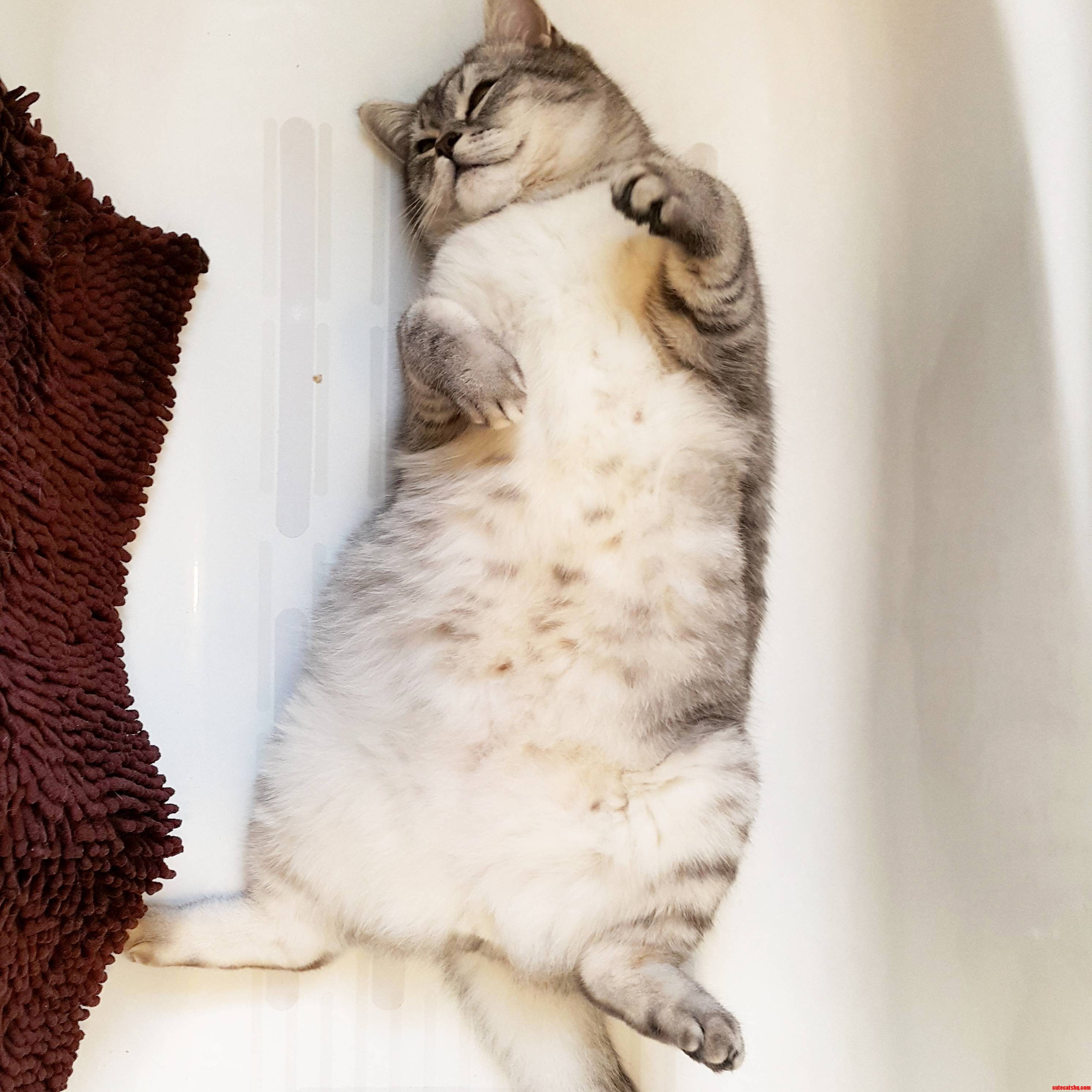 Ruuuuub Me Right Meow..