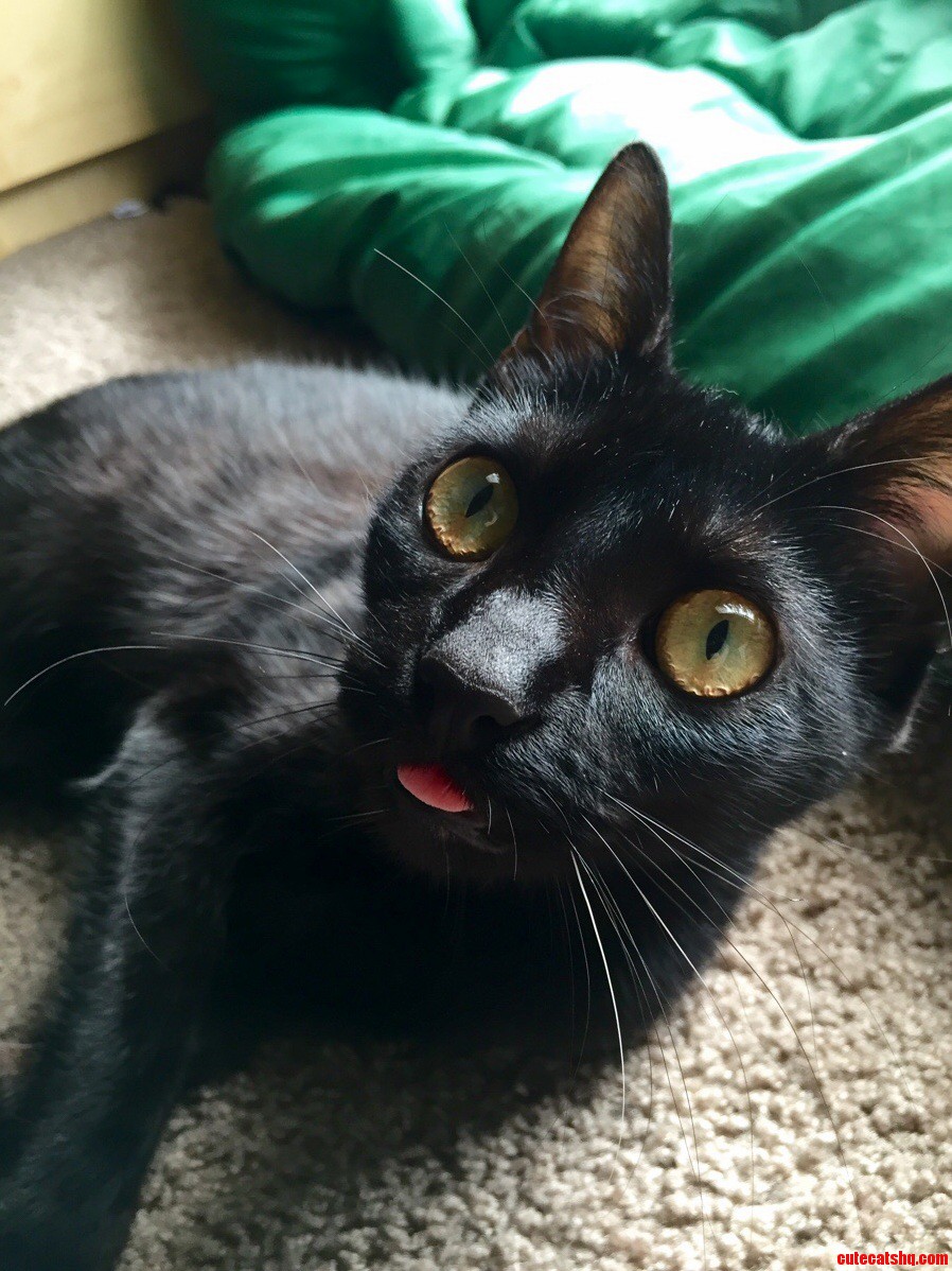 Sasha Showing Some Sass.