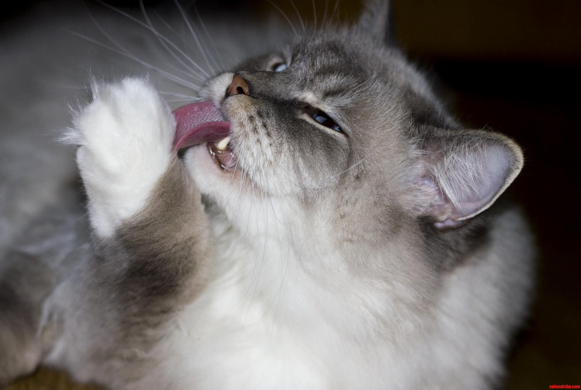 Self-cleaning Is Important