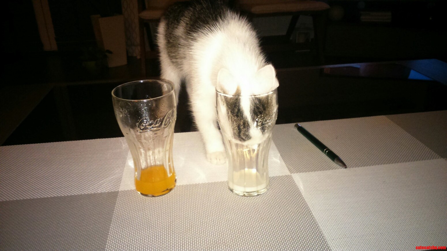 She Enjoys a Drink or Two.