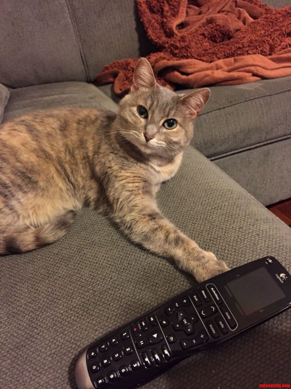 She Thinks It Is Her Turn to Pick What Show We Will Watch.