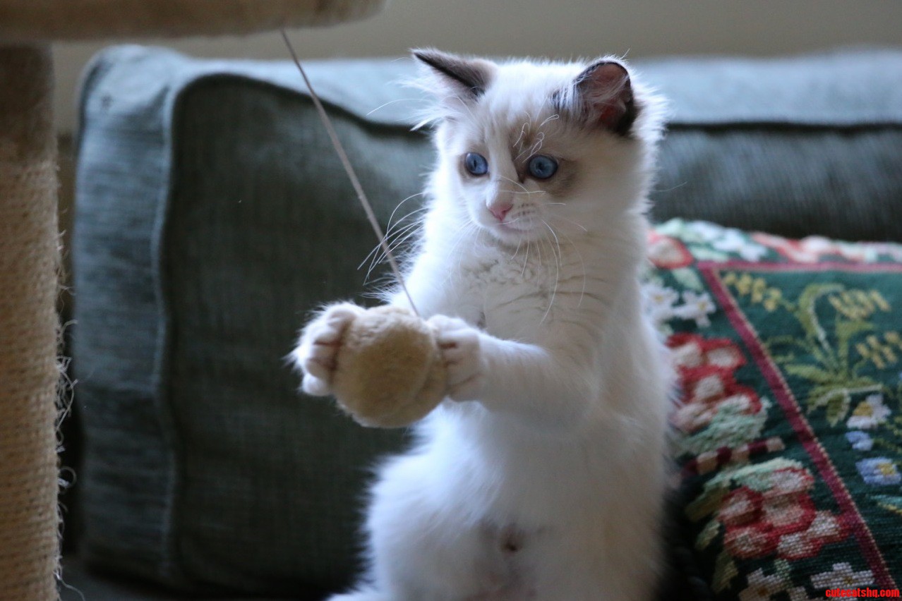 Shes a Playful One