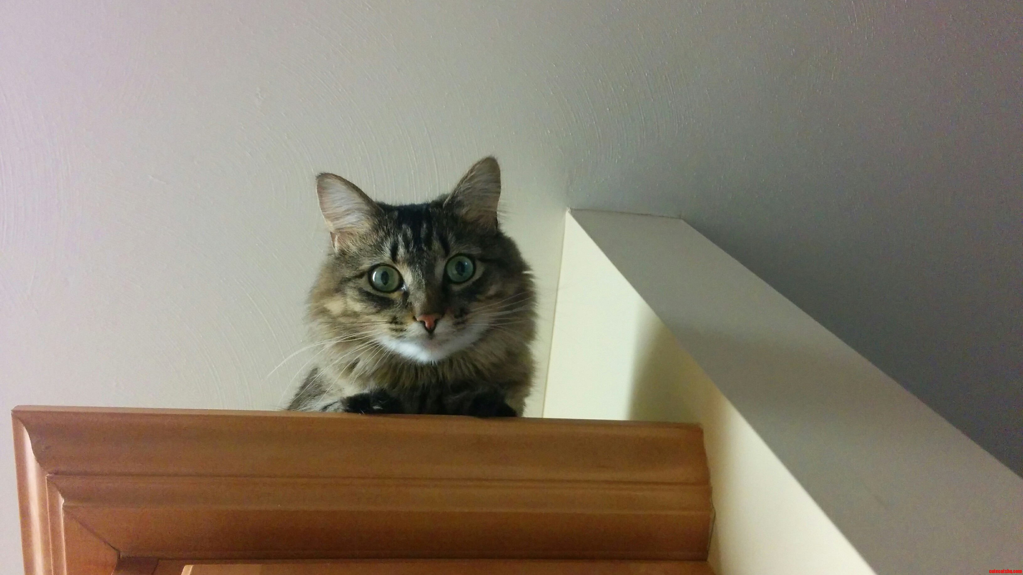 Shes Always Watching...