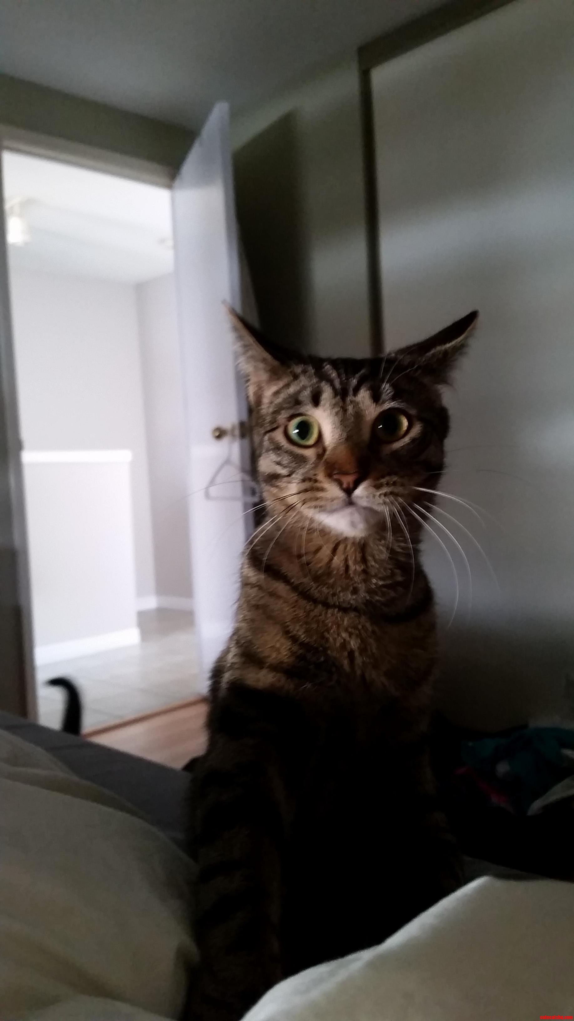 Shes Right Behind Me. Isnt She