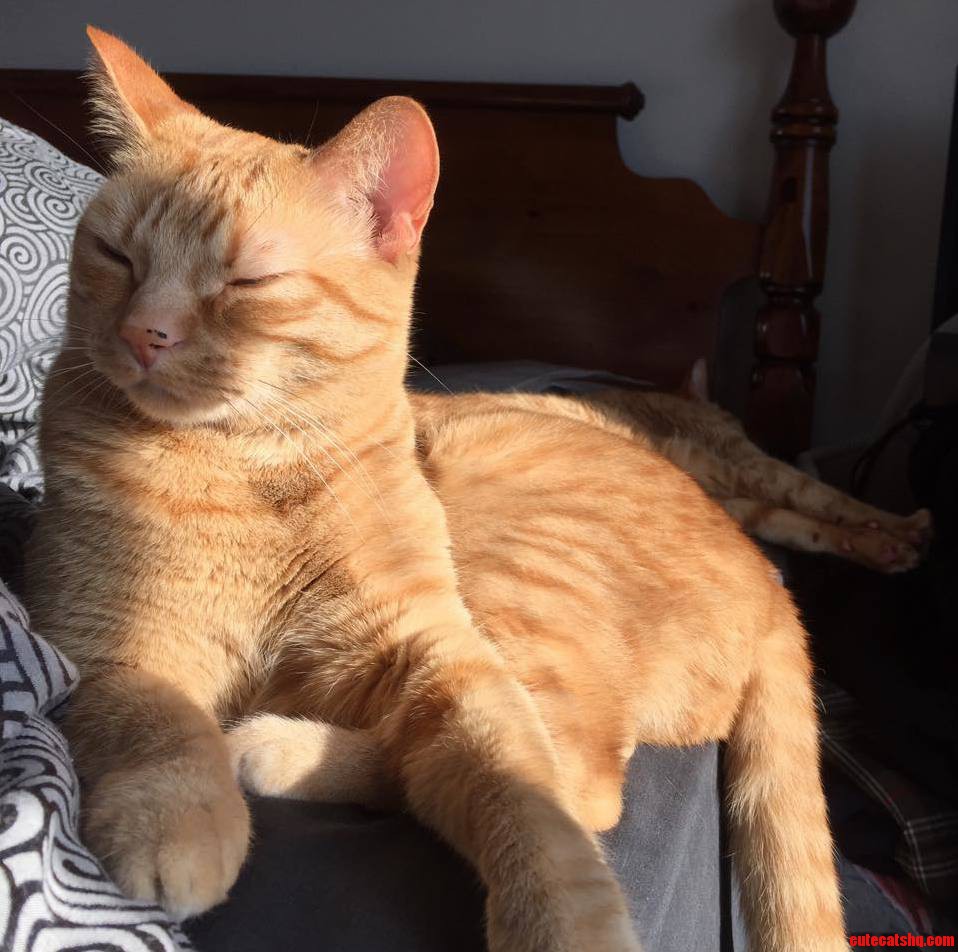 Sisters Sunbathing