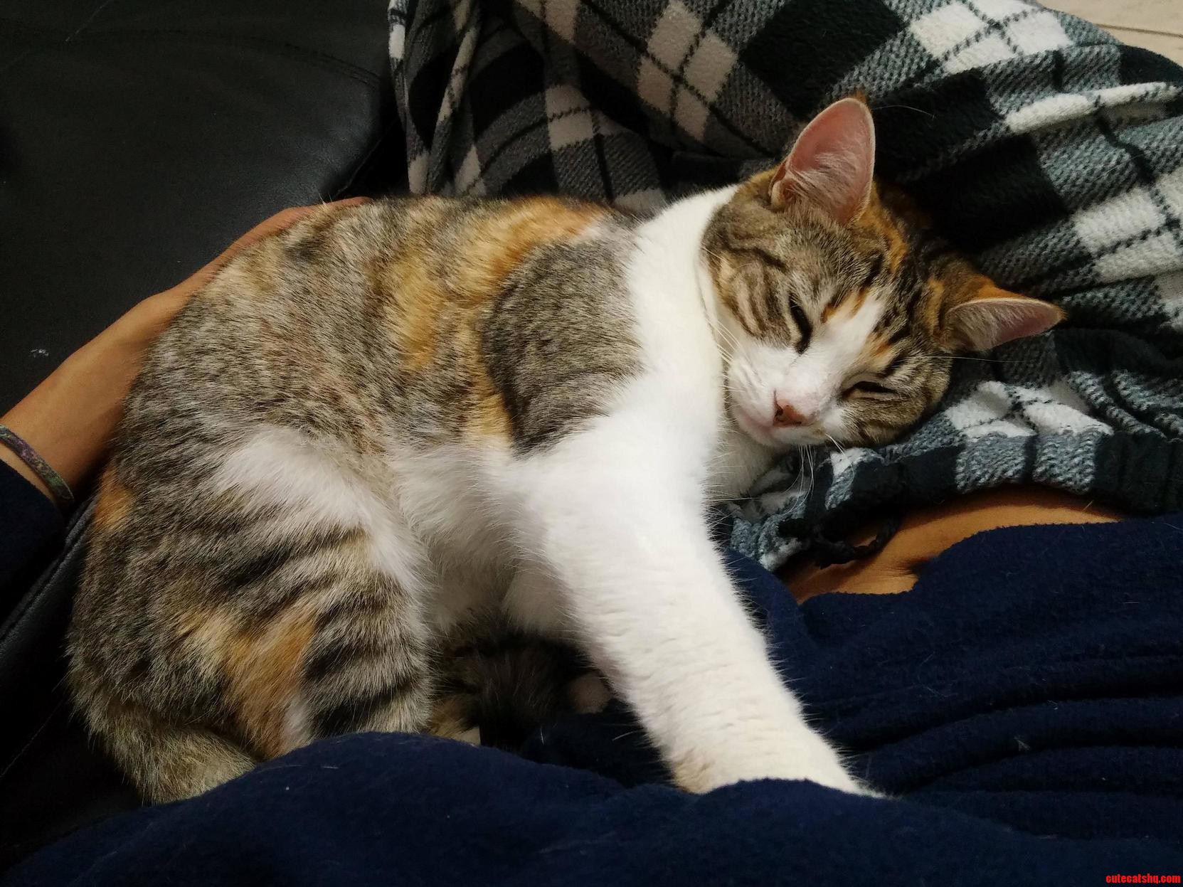 Sleepy Head