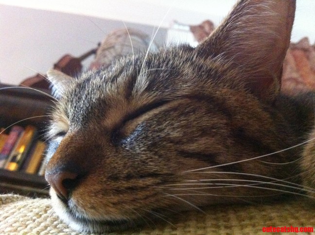 Sleepy Time 3