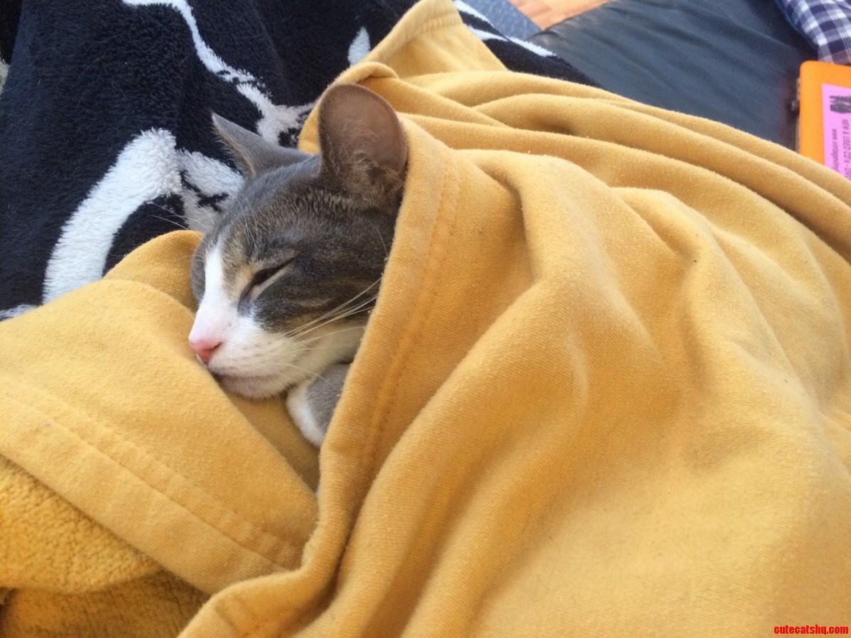 Snuggly Boy