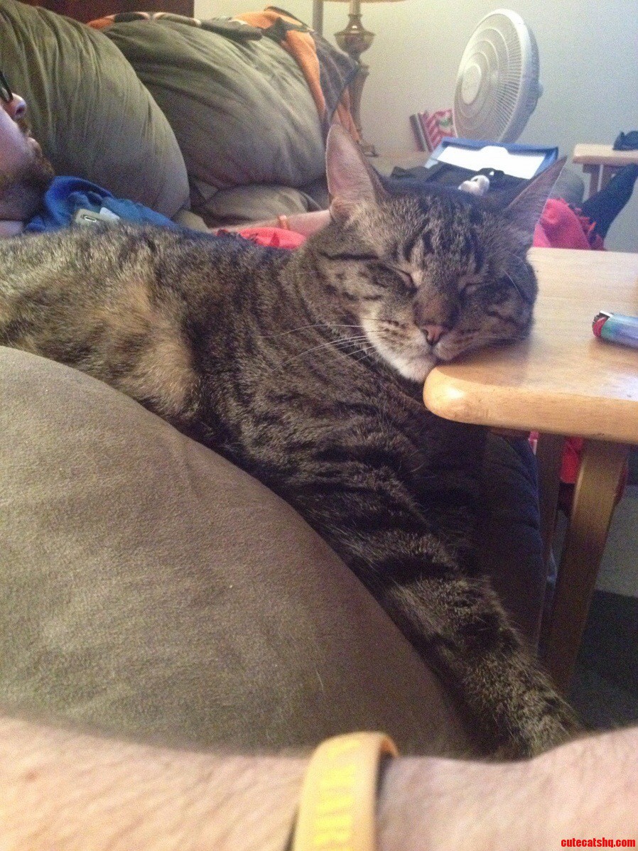 Sometimes When You Are Just That Tired Anything Can Be a Pillow.