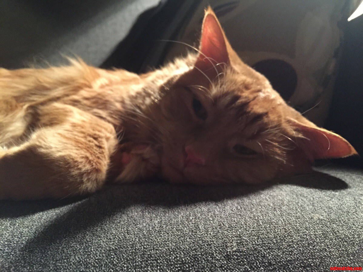 Spent a Week Watching This Guy for My Girlfriend