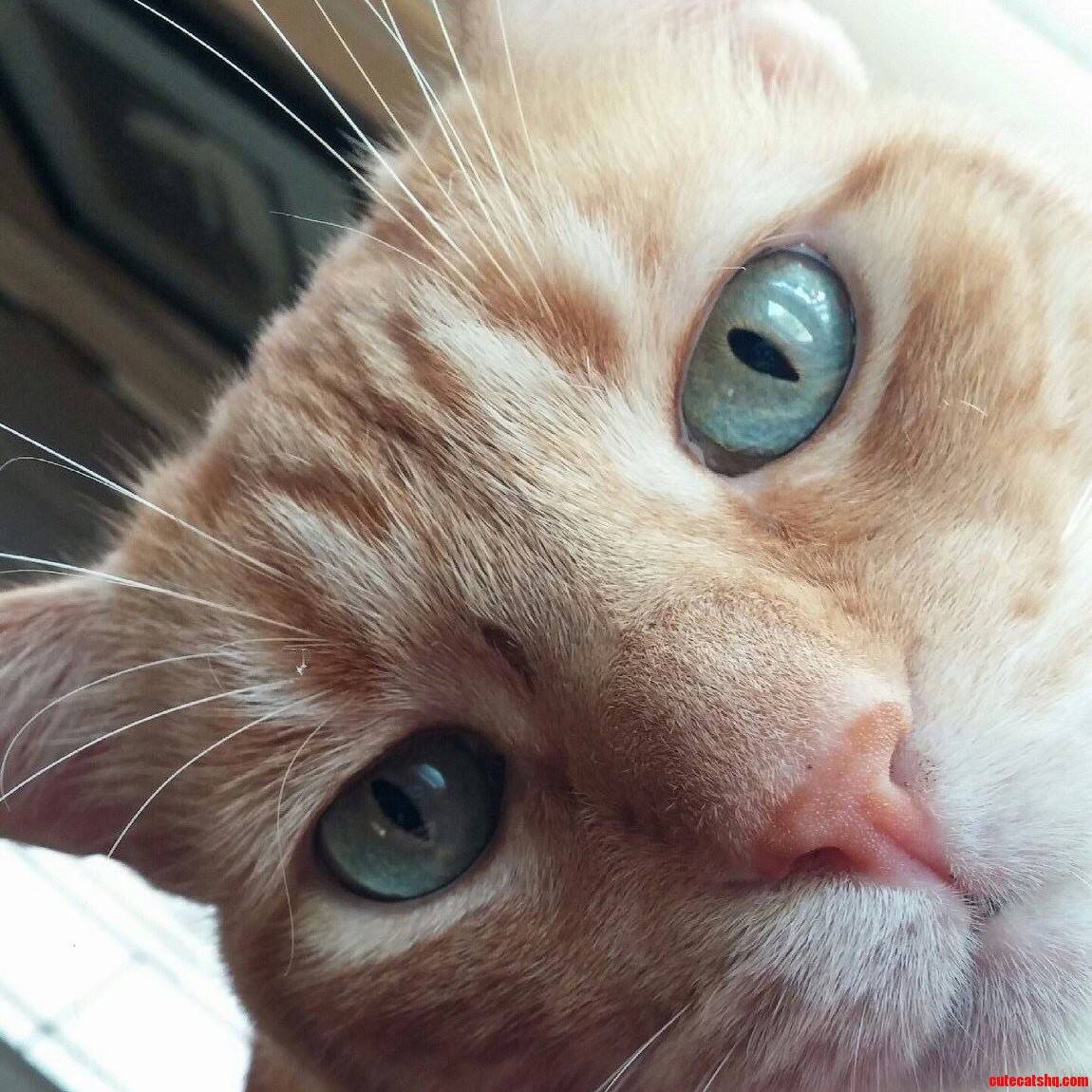 Such Pretty Eyes You Have.