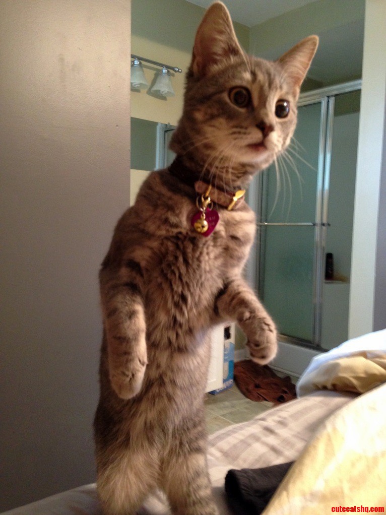 Surprised.