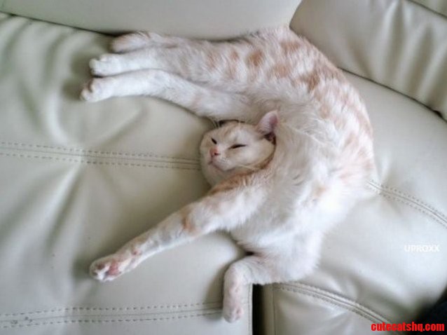 That Cant Possible Be Comfortable Can It